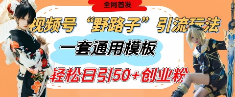 视频号“野路子”玩法，评论区疯狂截流，一套模板单日单号引流50+创业粉-理想项目库