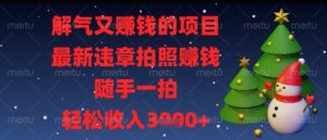 解气又挣钱的项目，最新违章拍照挣钱，随手一拍，轻松收入多张【揭秘】-理想项目库