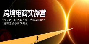 跨境电商实操营:独立站/TikTok/谷歌广告/YouTube,精准选品与高效引流-理想项目库