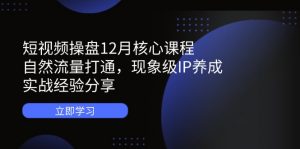 短视频操盘12月核心课程:自然流量打通,现象级IP养成,实战经验分享-理想项目库