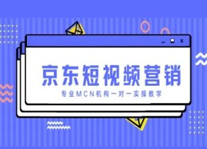 京东短视频营销项目，专业MCN机构一对一实操教学-理想项目库