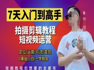 7天入门到高手,短视频剪辑运营高手课,定位 运营 引|流 变现,0基础小白一学就会-理想项目库