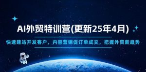 AI外贸特训营(更新25年4月-理想项目库