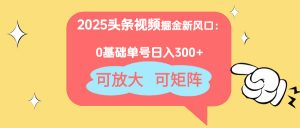 2025头条视频掘金新风口：0基础日入300+，可放大，可矩阵-理想项目库