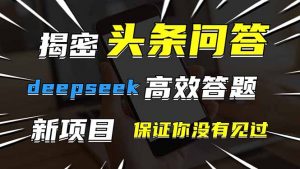 头条问答，刚出的新玩法！保证你没见过！用DeepSeek去高效答题，一个账…-理想项目库