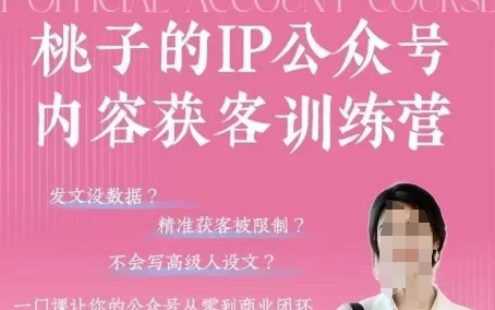 桃子IP公众号内容获客训练营(第3期)，一门让你公众号从0到商业闭环的课程-理想项目库