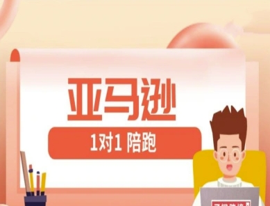 亚马逊1对1陪跑课(FBA/FBM精铺)跨境亚马逊教程-理想项目库