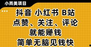 小而美的项目,抖音小红书B站视频点赞、关注、评论就能挣钱,简单无脑立见收益,妥妥的零撸项目【揭秘】-理想项目库