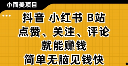 小而美的项目，抖音小红书B站视频点赞、关注、评论就能挣钱，简单无脑立见收益，妥妥的零撸项目【揭秘】-理想项目库