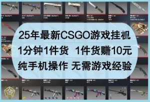 25年最新CSGO游戏挂G，1分钟1件货，1件货挣10元，纯手机操作，无需游戏经验【揭秘】-理想项目库