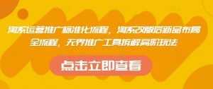 淘系运营推广标准化流程，​淘系改版后新品布局全流程，无界推广工具拆解高阶玩法-理想项目库