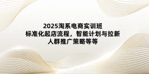 2025淘系电商实训班:标准化起店流程,智能计划与拉新,人群推广策略等等-理想项目库