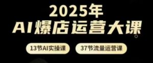 2025年AI爆店运营大课,13节AI实操课+37节流量运营课-理想项目库