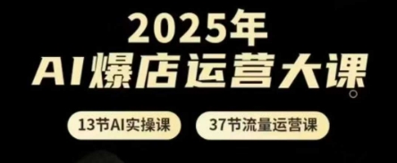 2025年AI爆店运营大课，13节AI实操课+37节流量运营课-理想项目库