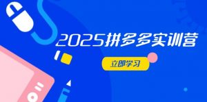 2025拼多多实训营：深度剖析运营关键，助力电商人快速提升-理想项目库