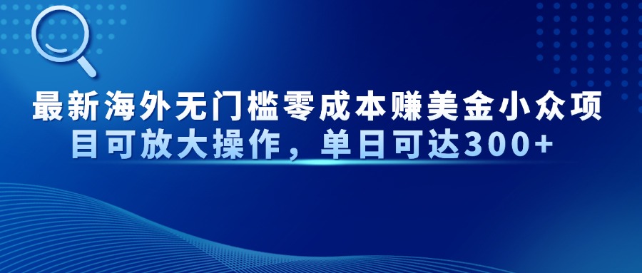 最新海外无门槛零成本赚美金小众项目可放大操作，单日可达300+-理想项目库