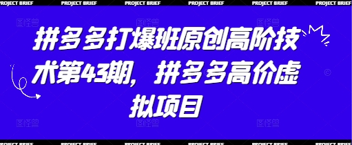 拼多多打爆班原创高阶技术第43期，拼多多高价虚拟项目-理想项目库