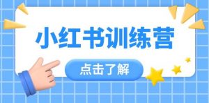 小红书训练营,助小白入门,掌握技巧变达人,课程实操又全面(12节课)-理想项目库