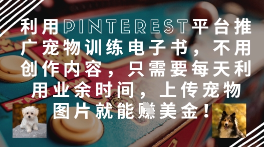 利用Pinterest平台推广宠物训练电子书，不用创作内容，只需要每天利用业余时间，上传宠物图片就能挣美金!-理想项目库