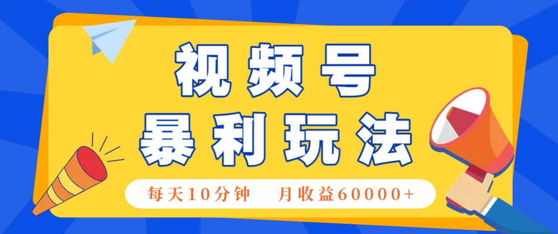 视频号AI赚钱法，每天只需10分钟，月入6万+！(超详细拆解)-理想项目库
