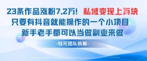 抖音私域项目23条作品涨粉7.2W，私域变现1W-理想项目库