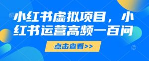 小红书虚拟项目,小红书运营高频一百问【文档】-理想项目库