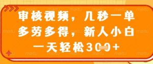 视频审核员，几秒一单，不限时间，不限地点，多做多得，新人小白一天轻松几张+【揭秘】-理想项目库