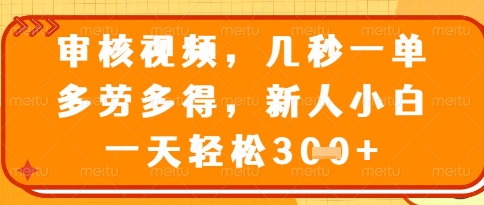 视频审核员，几秒一单，不限时间，不限地点，多做多得，新人小白一天轻松几张+【揭秘】-理想项目库