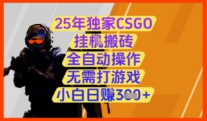 25年独家CSGO挂G搬砖，全自动操作，无需打游戏，小白日入3张+【揭秘】-理想项目库