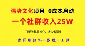 强势文化项目，一个社群收入25个W，0成本启动，可矩阵批量操作，原创详细实操教程-理想项目库