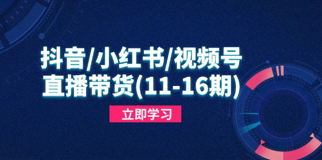抖音/小红书/视频号/直播带货(11-16期-理想项目库