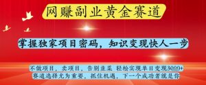 网创副业黄全赛道,掌握独家项目密码,知识变现快人一步,告别韭菜轻松实现单日变现1k+【揭秘】-理想项目库