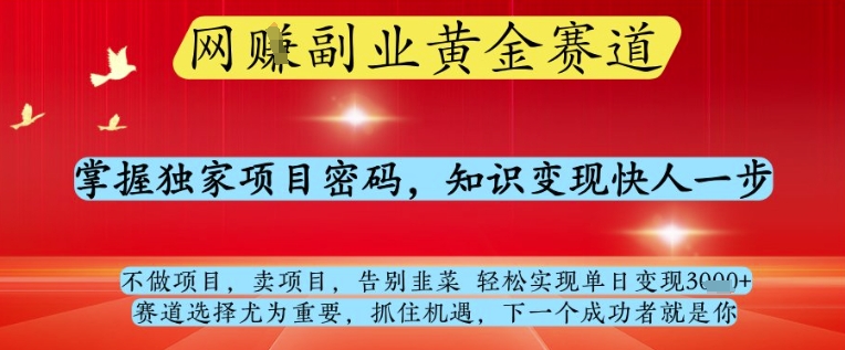 网创副业黄全赛道，掌握独家项目密码，知识变现快人一步，告别韭菜轻松实现单日变现1k+【揭秘】-理想项目库