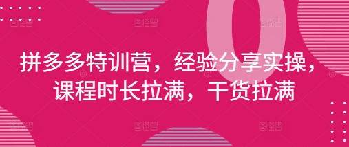 拼多多特训营，经验分享实操，课程时长拉满，干货拉满(更新25年4月)-理想项目库