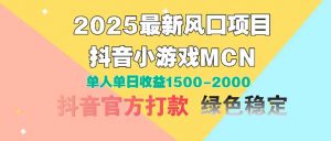 2025最新风口项目 抖音小游戏MCN 单人单日收益1500-2000+-理想项目库