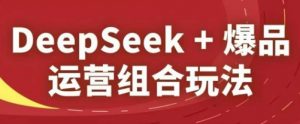 DeepSeek+爆品运营组合玩法，2025淘系精品课-理想项目库