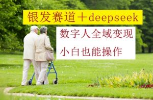 银发赛道+deepseek数字人全域变现,小白也能操作-理想项目库