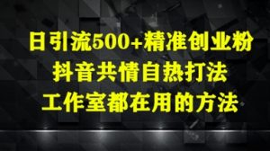 日引流500+精准创业粉，抖音共情自热打法，工作室都在用的方法-理想项目库