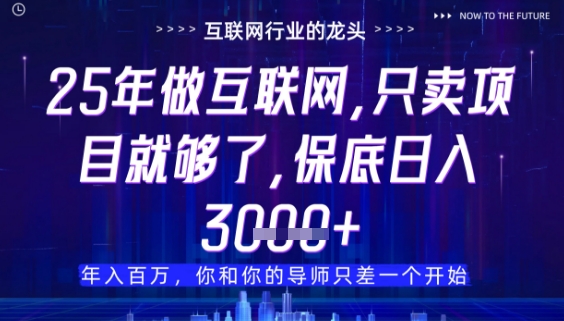什么！25年你还在找项目做？风口早就变了，卖项目才是稳挣不赔【揭秘】-理想项目库