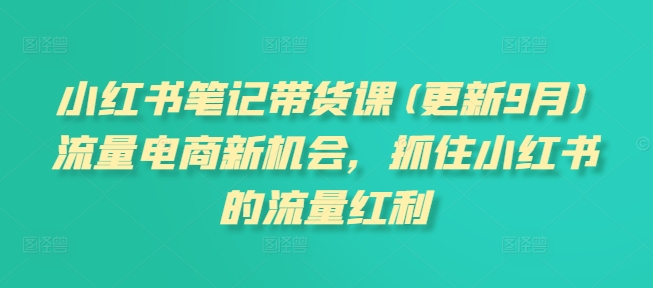 小红书笔记带货课(更新25年4月)流量电商新机会，抓住小红书的流量红利-理想项目库
