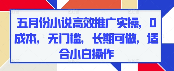 五月份小说高效推广实操，0成本，无门槛，长期可做，适合小白操作-理想项目库