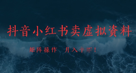 抖音小红书卖虚拟资料，市场需求一直存在，矩阵操作，月入1w+-理想项目库