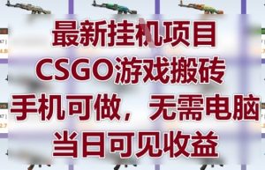 最新挂G项目，CSGO游戏搬砖，手机可做，无需电脑，当日见收益【揭秘】-理想项目库