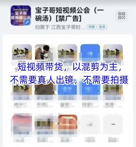 宝子哥头部团队短视频带货，以混剪为主，不需要真人出镜，不需要拍摄-理想项目库