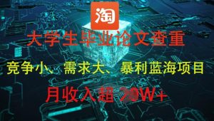 大学生毕业论文查重，暴利蓝海项目，月收入过1W+-理想项目库