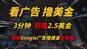 看广告，撸美金！！3分钟赚2.5美金！！日入200美金不是梦！揭秘Google…-理想项目库