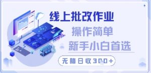 线上批改作业，操作简单新手小白首选，无脑日收300+【揭秘】-理想项目库