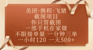 飞猪美团截图项目，你只管截图，一部手机在家做，正规平台无套路，一天5张+【揭秘】-理想项目库