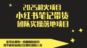 2025超火项目，副业最佳选择，小红书笔记带货团队实操落地项目，，轻松日入5张-理想项目库