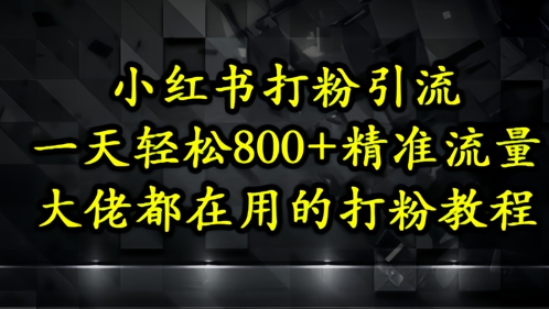 小红书打粉引流，一天轻松500+精准流量，大佬都在用的打粉教程-理想项目库